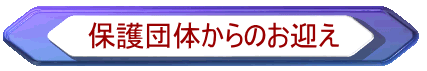 保護団体からのお迎え