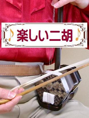 Erhu