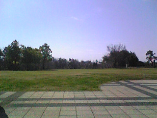 ひばりケ丘公園芝生広場